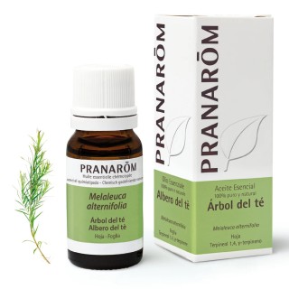 Aceite Esencial Árbol del Té 10 ml