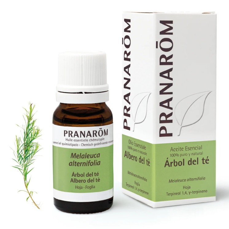 Aceite Esencial Árbol del Té 10 ml