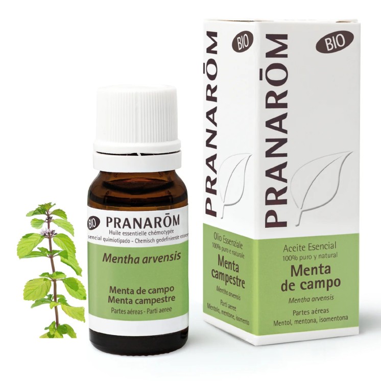 Pranarom Aceite Esencial Menta de Campo 10 ml - Bio