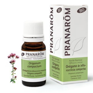 Aceite Esencial Orégano de Inflorescencias Compactas 10 ml - Bio