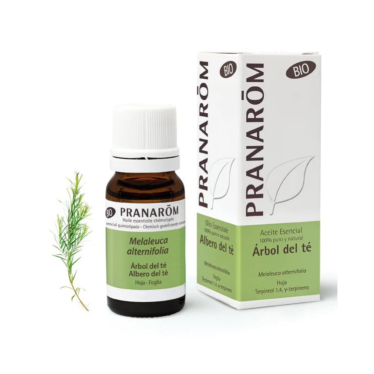 Pranarom Aceite Esencial Árbol del Té 10 ml - Bio