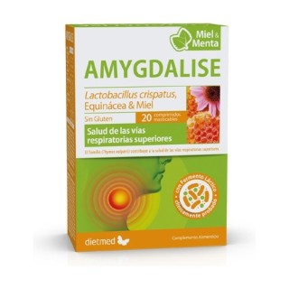 Amygdalise menta vías respiratorias