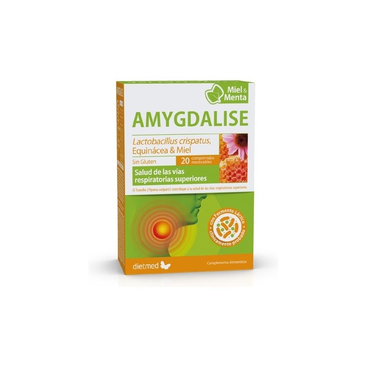 Amygdalise menta vías respiratorias