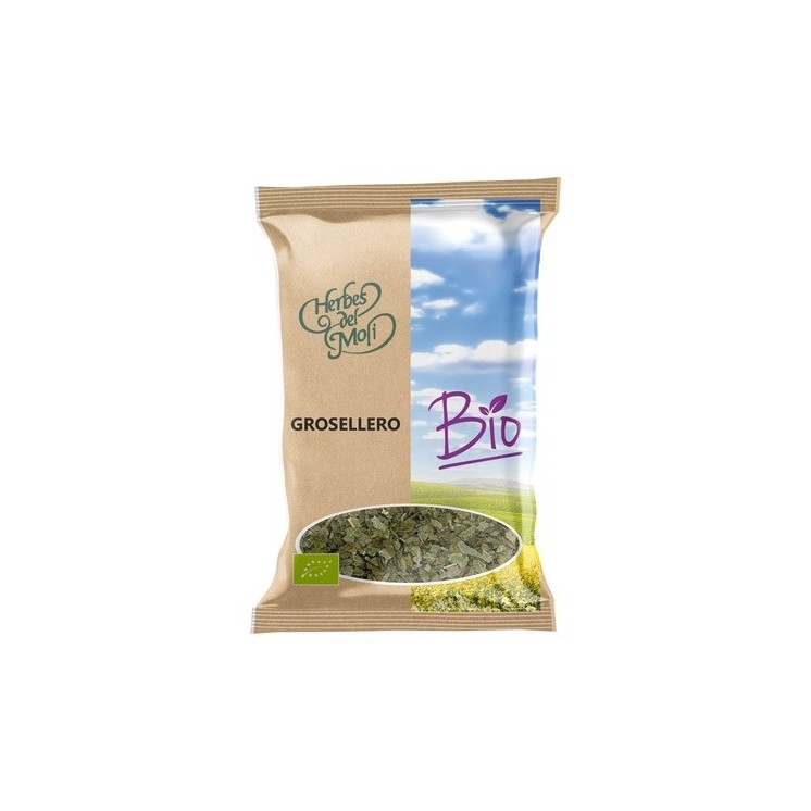 Herbes del Molí Grosellero negro hojas Eco 40 g