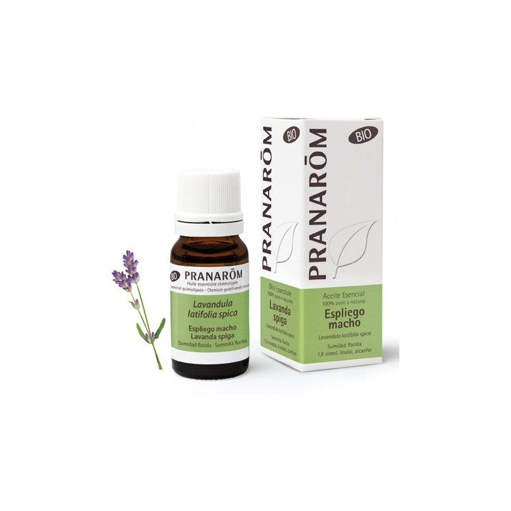 Pranarom Aceite Esencial Espliego Macho (Lavandula latifolia) 10 ml de aceite esencial